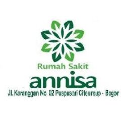 Logo RS Annisa