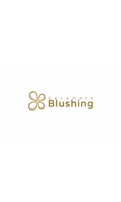 logo PT. Blushing Vision Retailindo