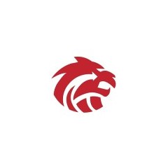 Logo Lion Logistik Indonesia