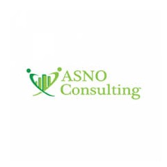 Logo Asno Consulting