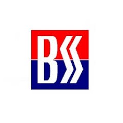 Logo BSS Recruitment Consultant
