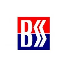 logo BSS Recruitment Consultant