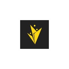 Logo RII Consulting